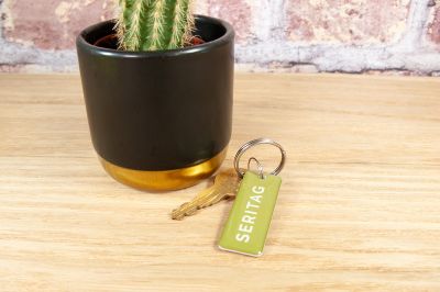 image of an nfc keyfob next to a cactus plant