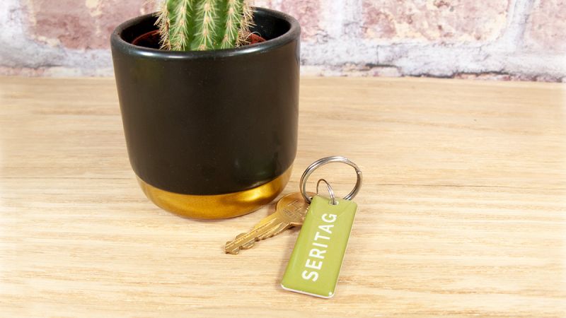 image of an nfc keyfob next to a cactus plant